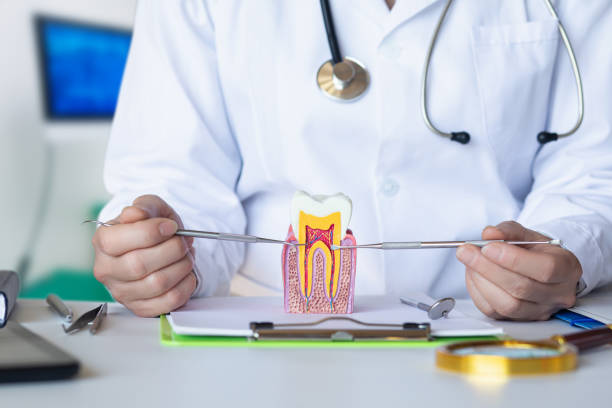 Best Broken or Chipped Tooth Repair in Peoria, AZ